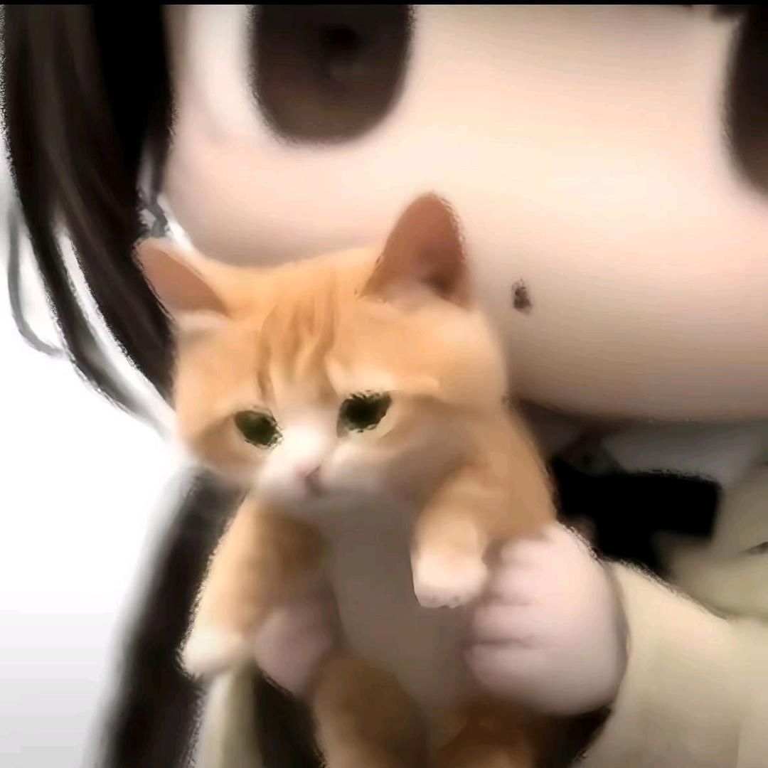 蓝桉（见过岳父岳母大人版）