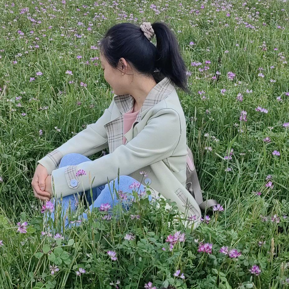 玉蝶