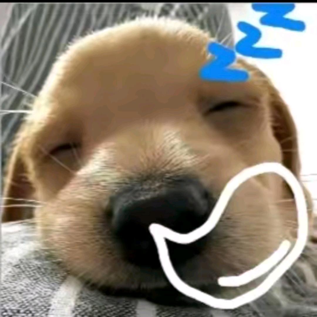 雨的
