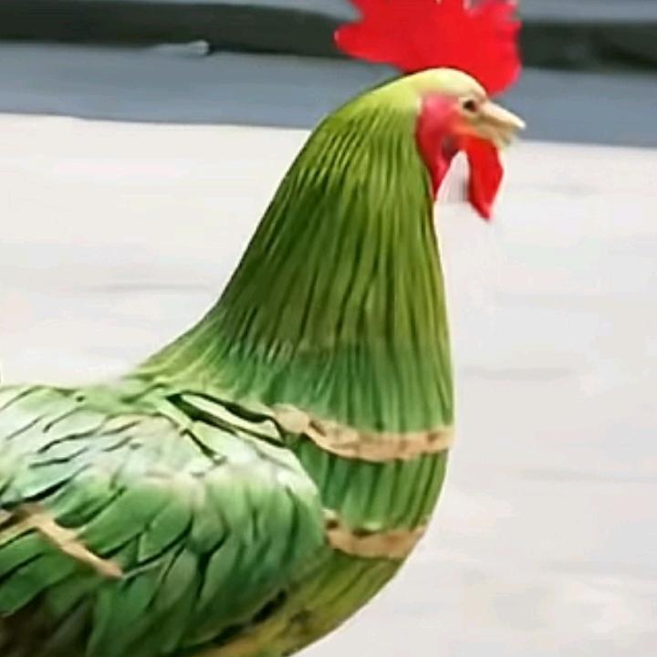 幺妹