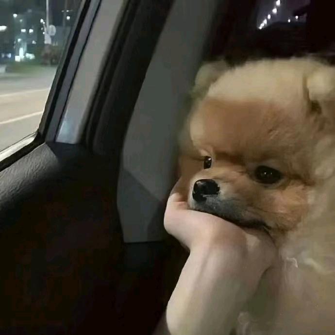 向南