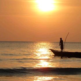 青龙湖野生鱼（魏庄店）