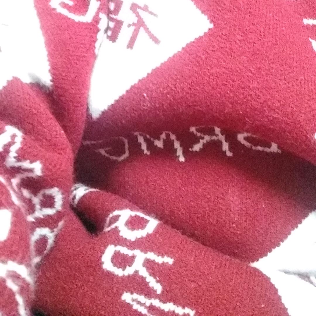 春天杨树