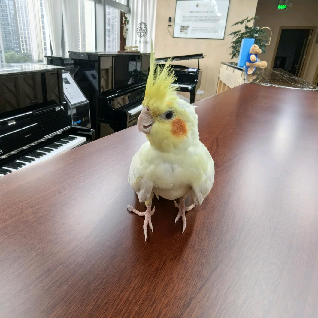 这名太猥琐