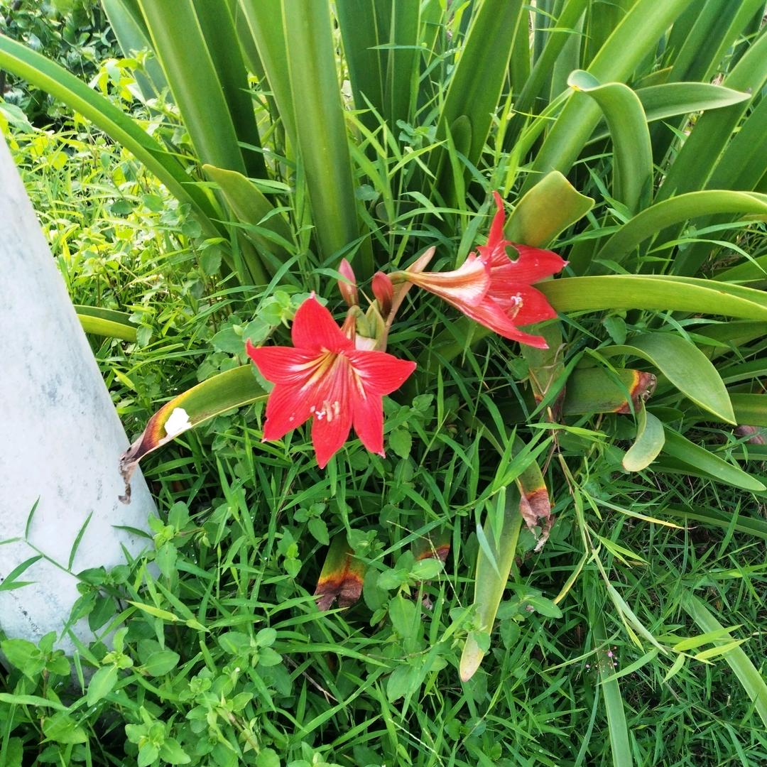 七八年的我，为什么受伤的总是我？