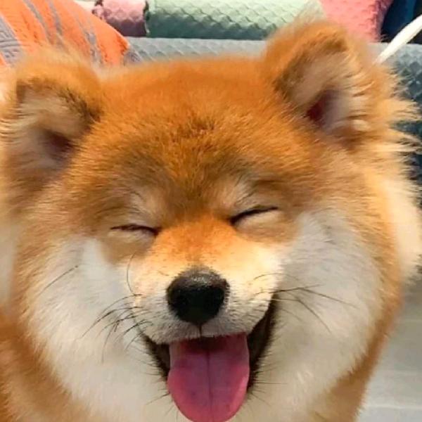 凳不稳别摇