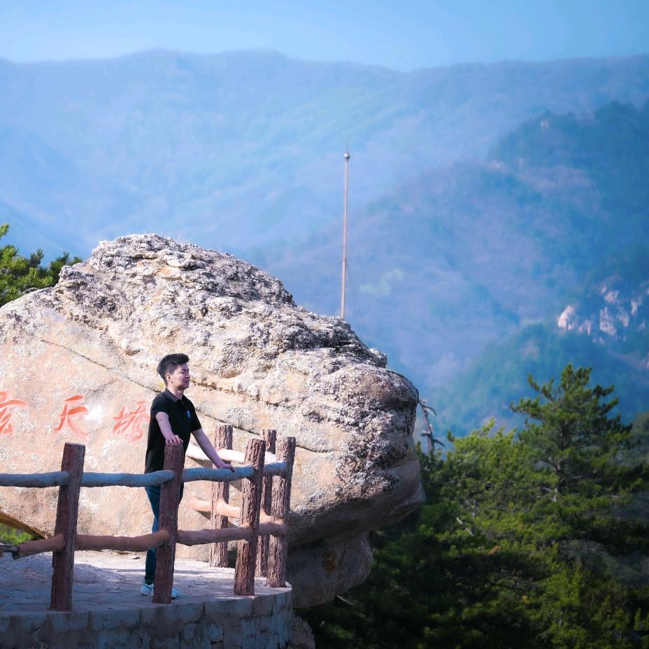 总有刁民想害郑