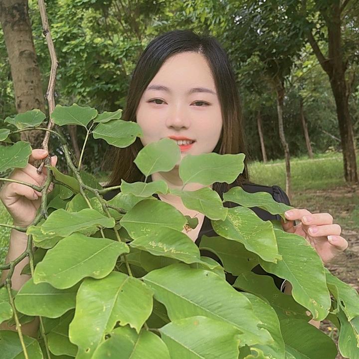 燕燕
