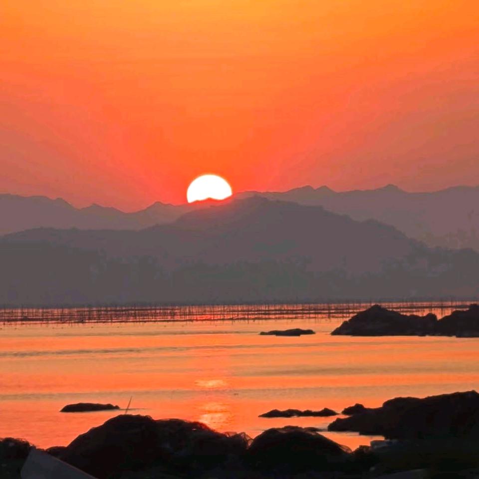 陈凝决