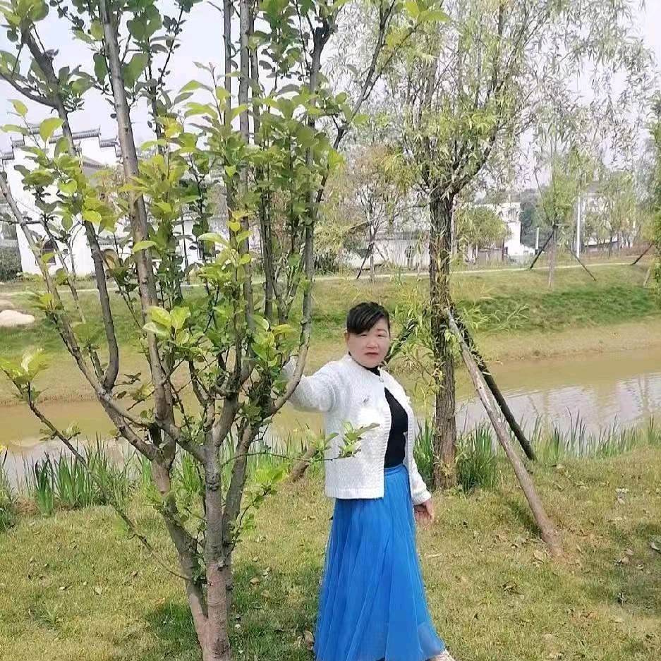 时光
