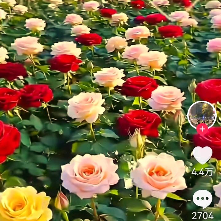 用户1815376886