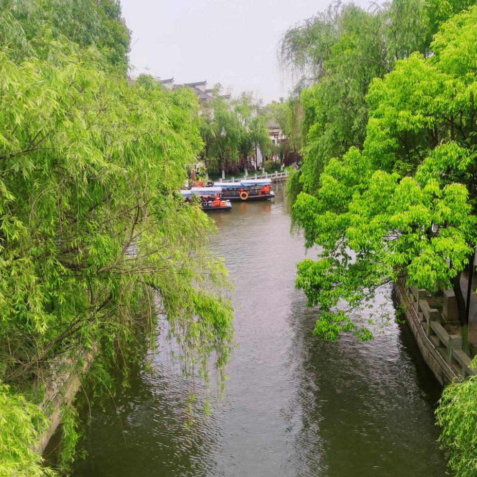 张杰伦
