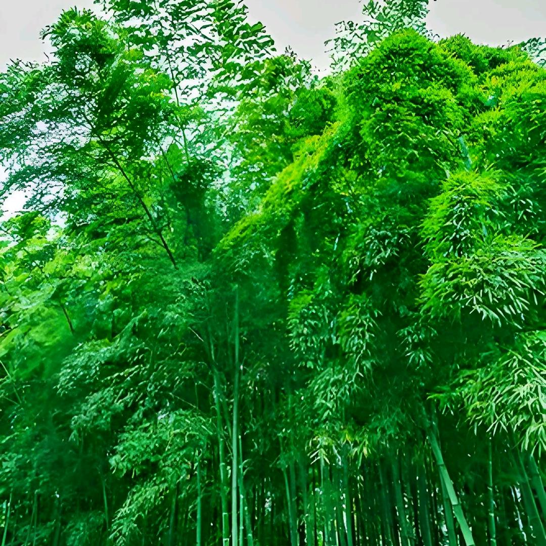袁老师讲睡眠