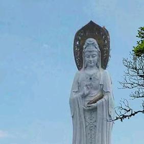 深圳市凯康博战斗机