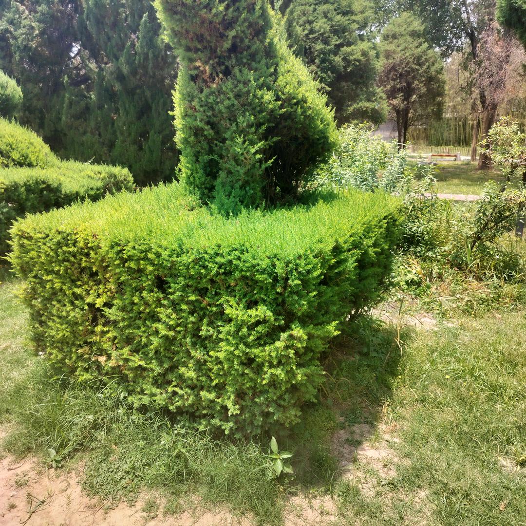 (1)只聊天不占榜