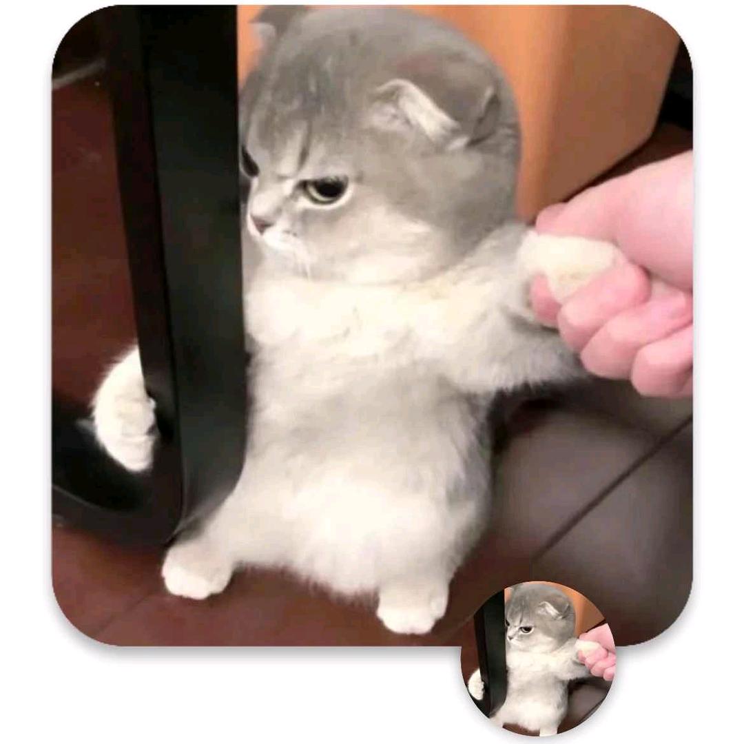 梦梦