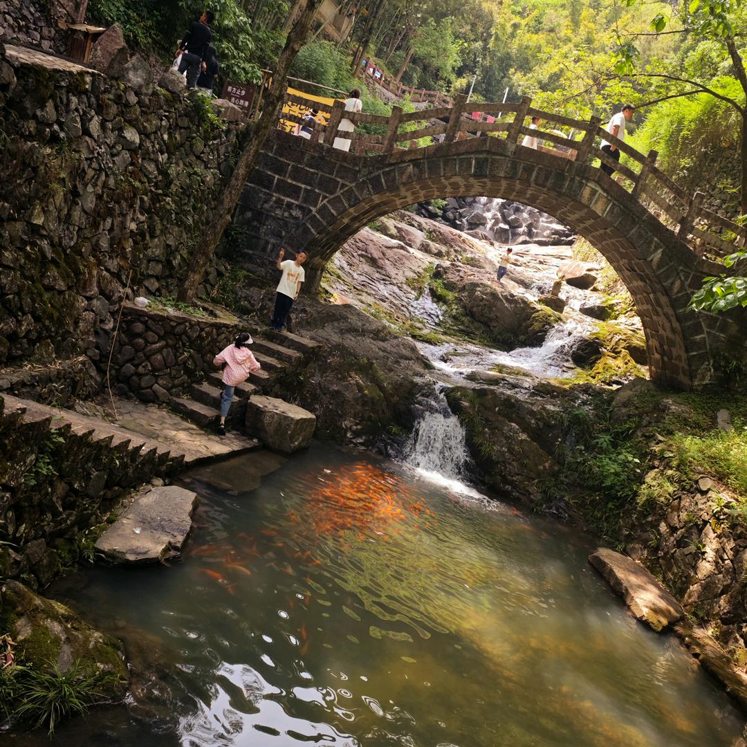沙里飞