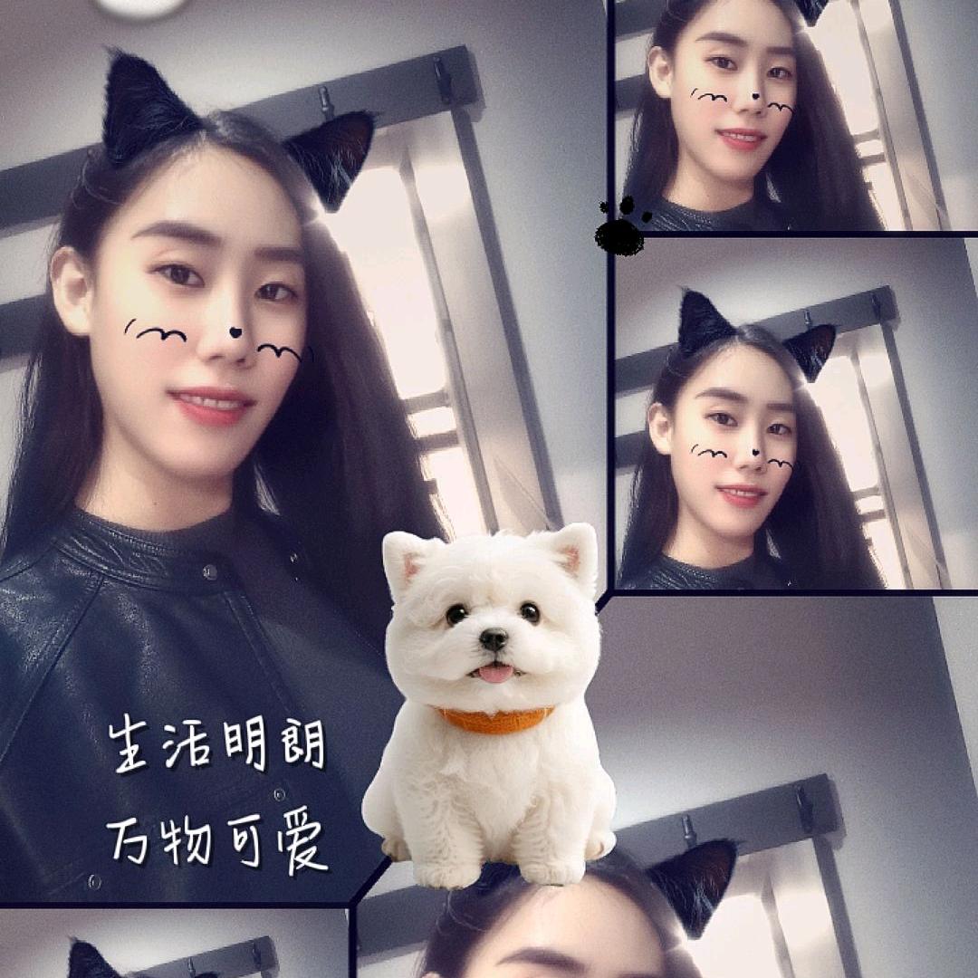 ᪄ᩏᩘ锦鲤慧