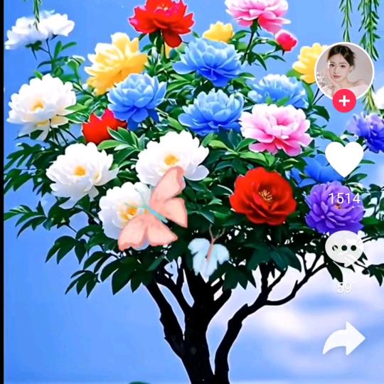温馨浪漫