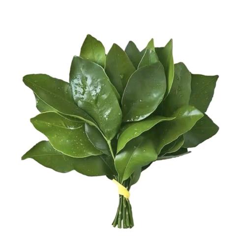 黑色毛衣