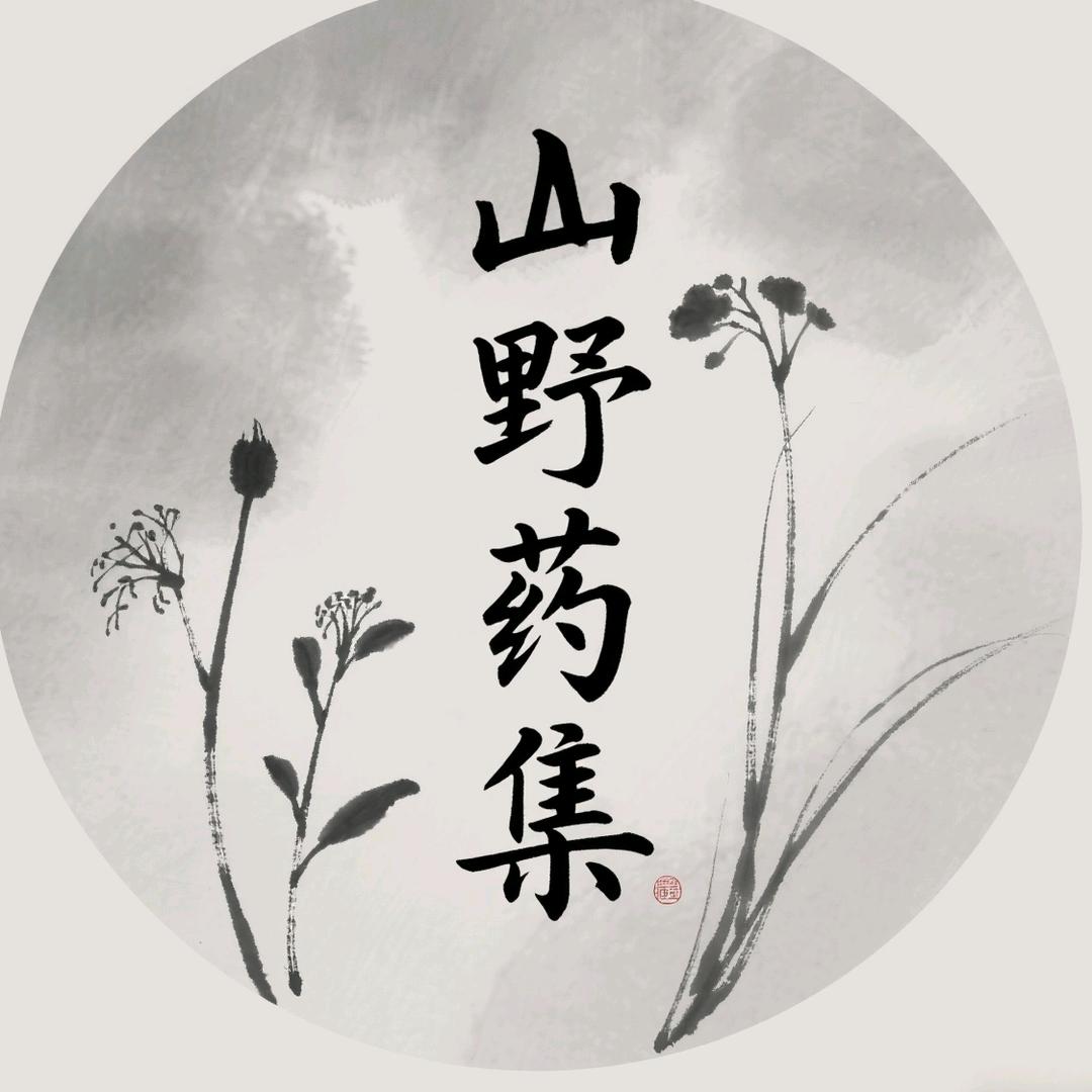 优质野生农产品铺子