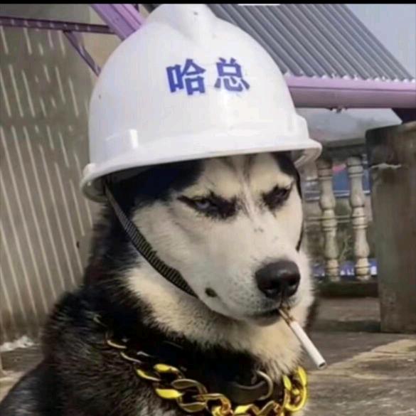 🌈路亚小生🌈