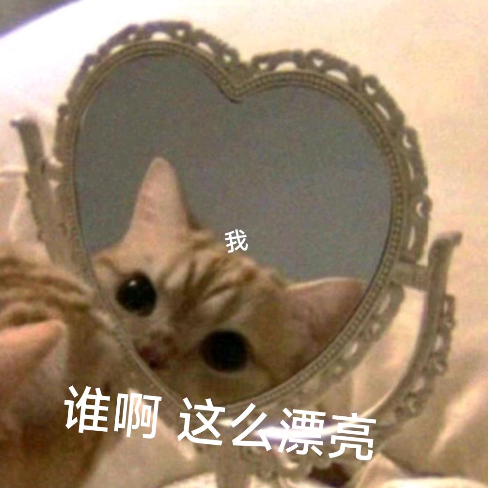钮枯禄•宝贝🎀