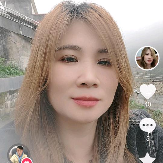 彩蝶