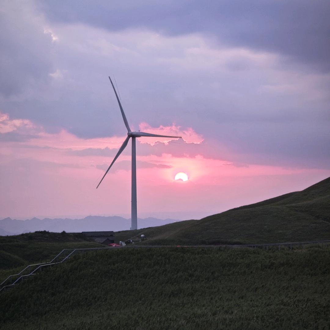 到处乱撞的阿花