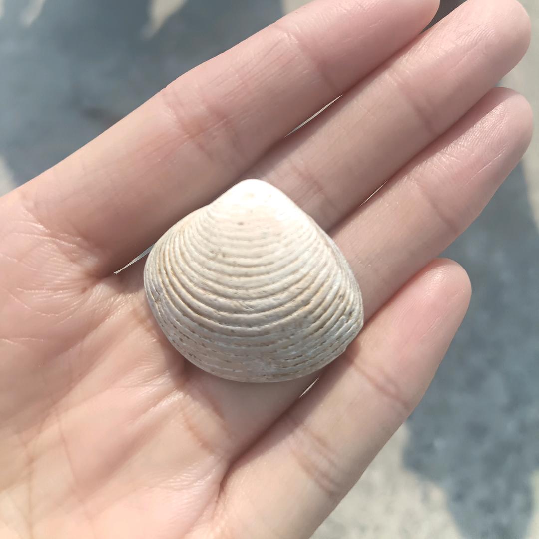 @还没想好