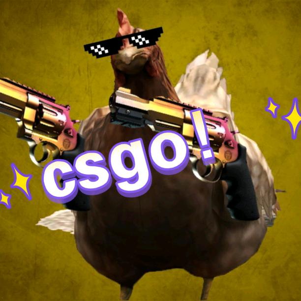 CSGO拾一