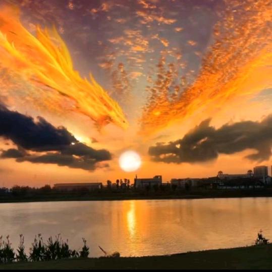 🇨🇳এ᭄ꦿ꯭ꫛ꧔陈꧔ꫛ᭄এ🇨🇳