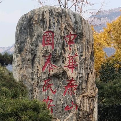 一胖姐