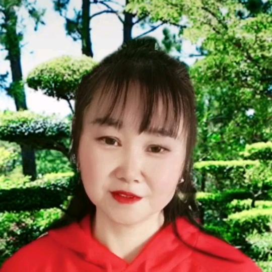 晓蝶