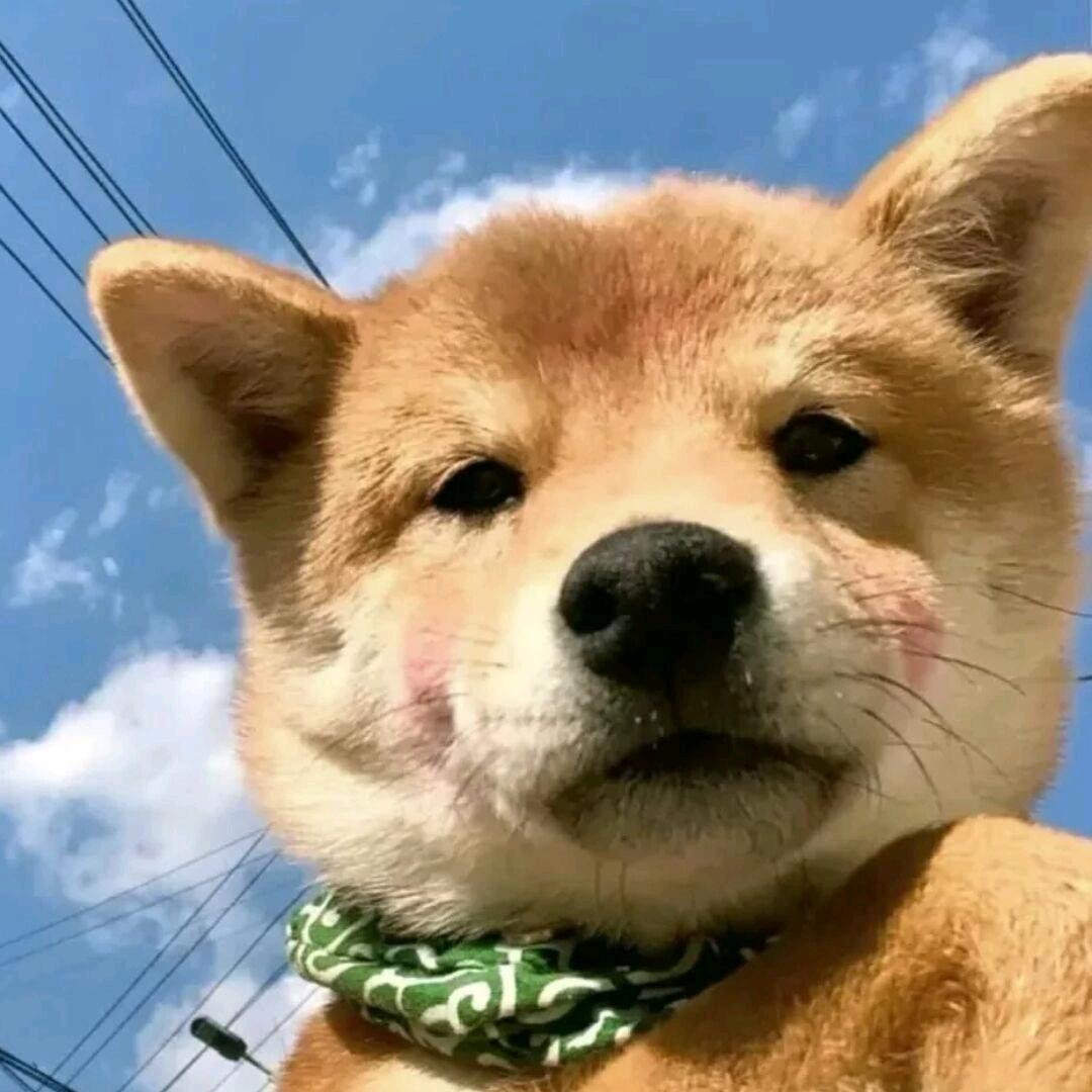 又想睡觉💤啦！