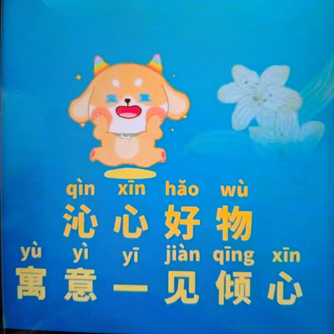 沁心好物