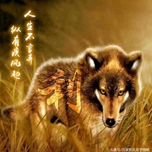 ｡✧꧁夜。，无眠꧂✧｡