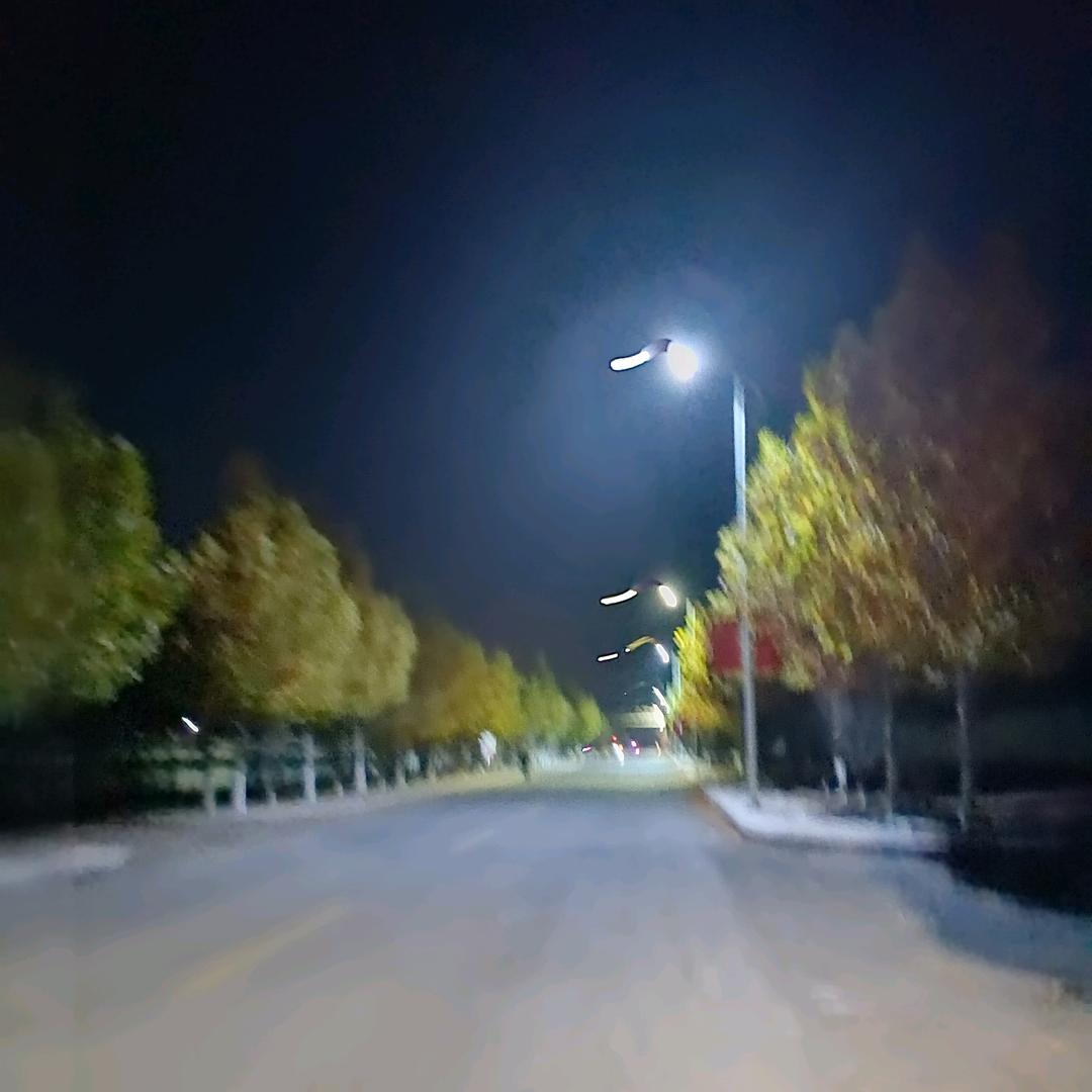 七四年虎姐