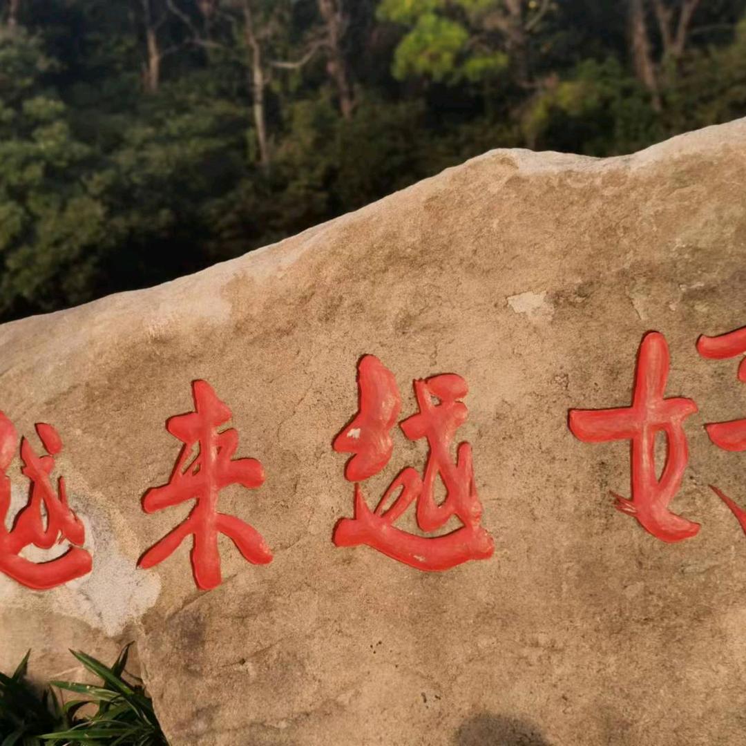 琴岛书画
