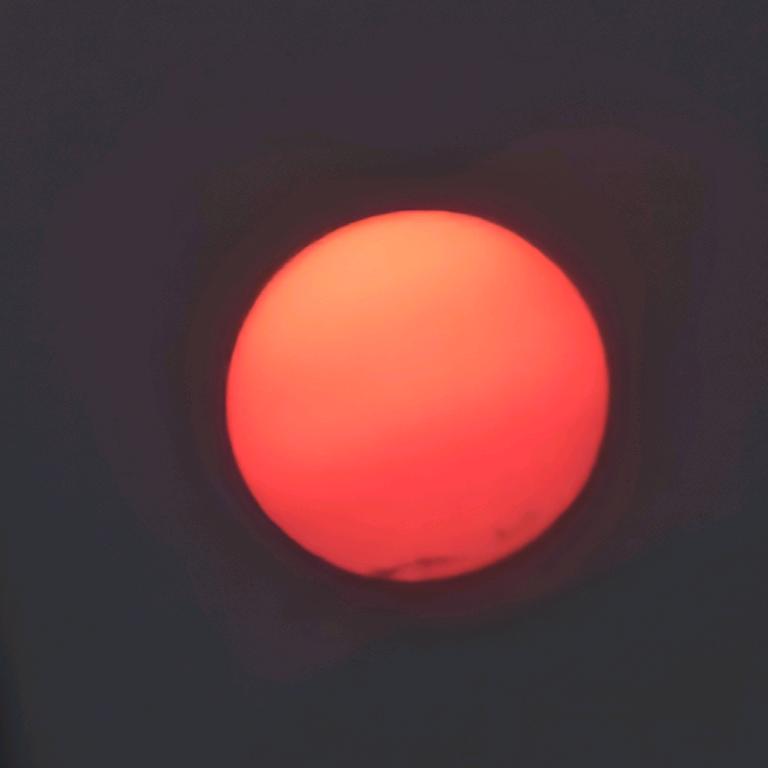 柘