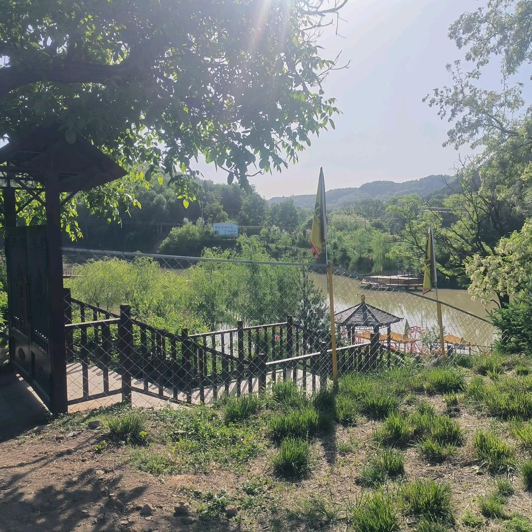 洛川苹果