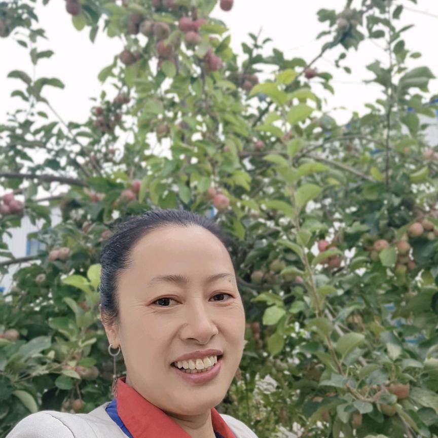 冬季寒梅