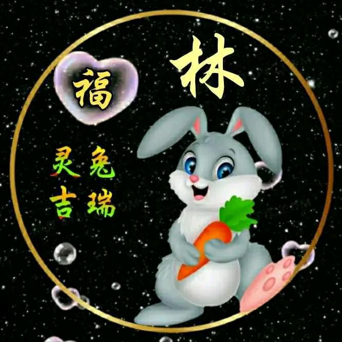 小林子