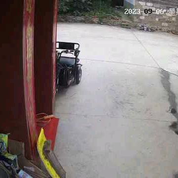过目不忘