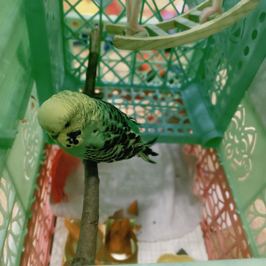 🌈ღzz᭄ꦿ࿐®