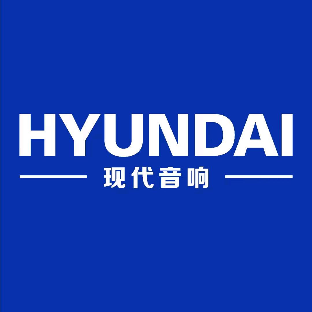 HYUNDAI莱特影音专卖店