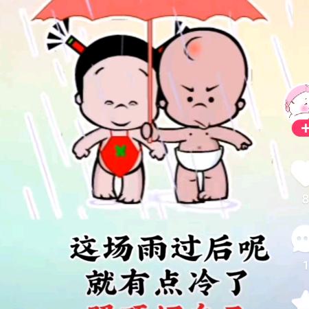四毛（核桃主播）