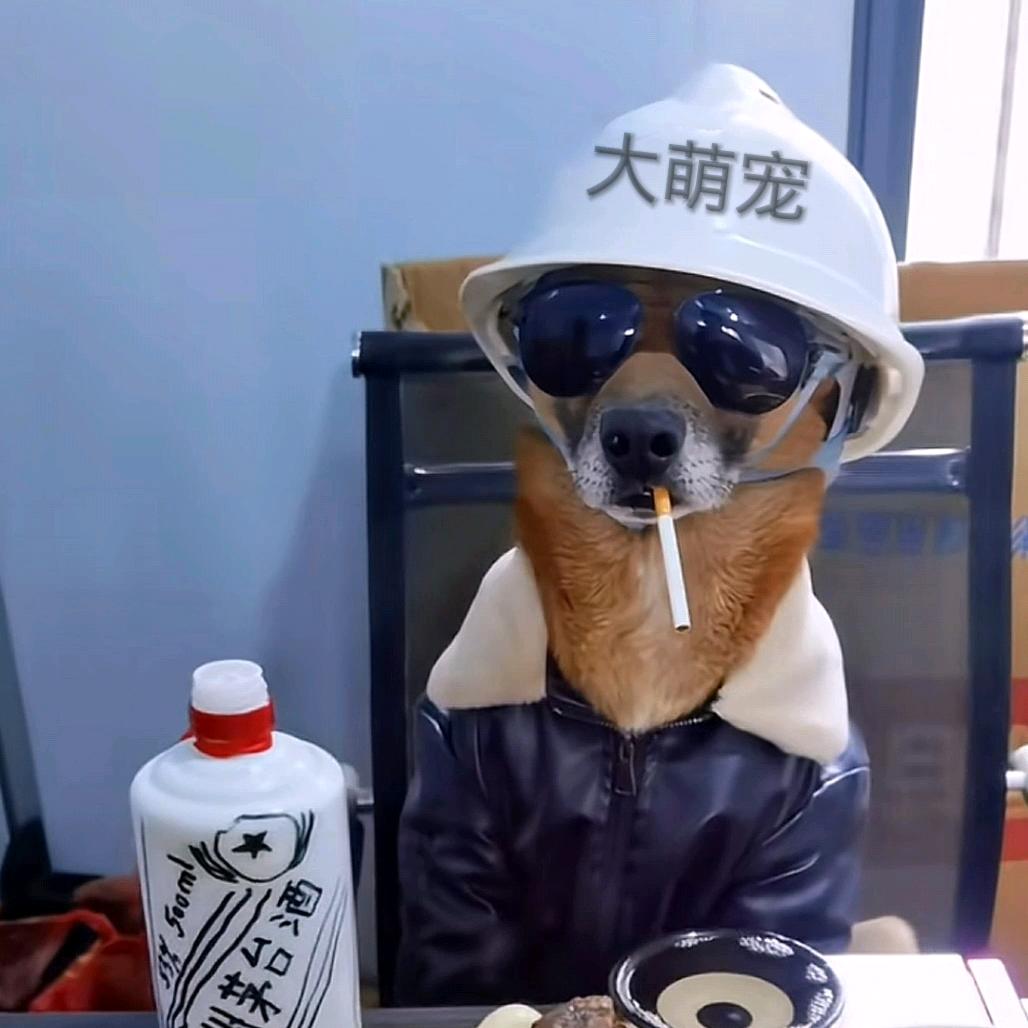 大萌宠
