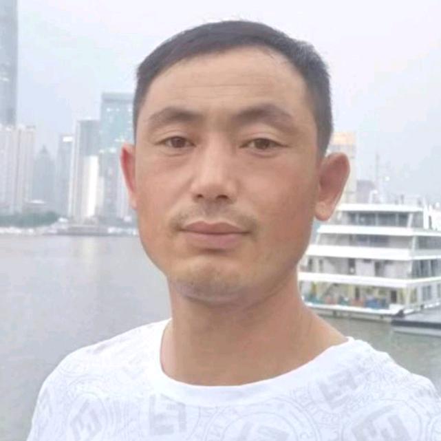 宝哥
