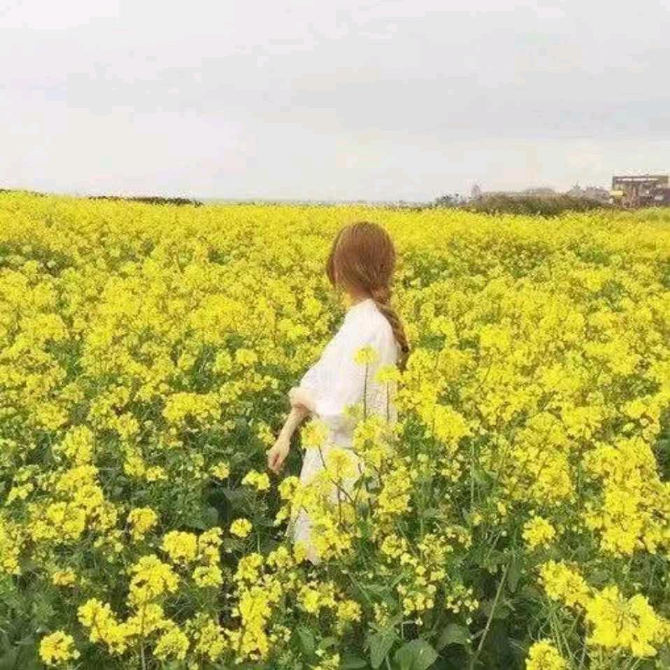 嘢味七首✔